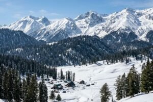 Snow-capped Himalayan mountain slopes and pine trees in Gulmarg Kashmir