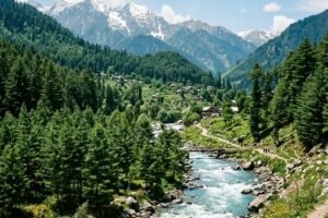 Lush green pine forest and rushing mountain river in Pahalgam Valley Kashmir